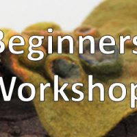 Beginners -Wet Felting September 16th & Membership