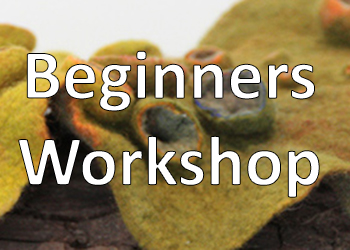 Beginners Workshop September 16th