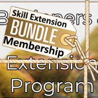 Skill Extension - Needle Felting & Membership