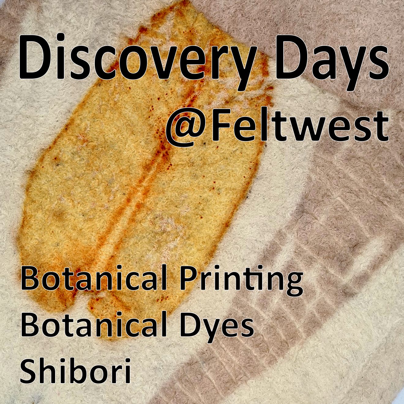 Discovery Days Feltwest