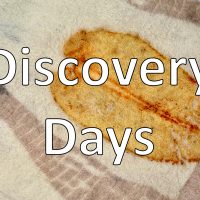 Discovery Days 2023